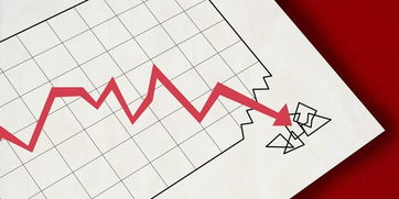 扣非凈利連虧七年，天津普林收深交所年報問詢函